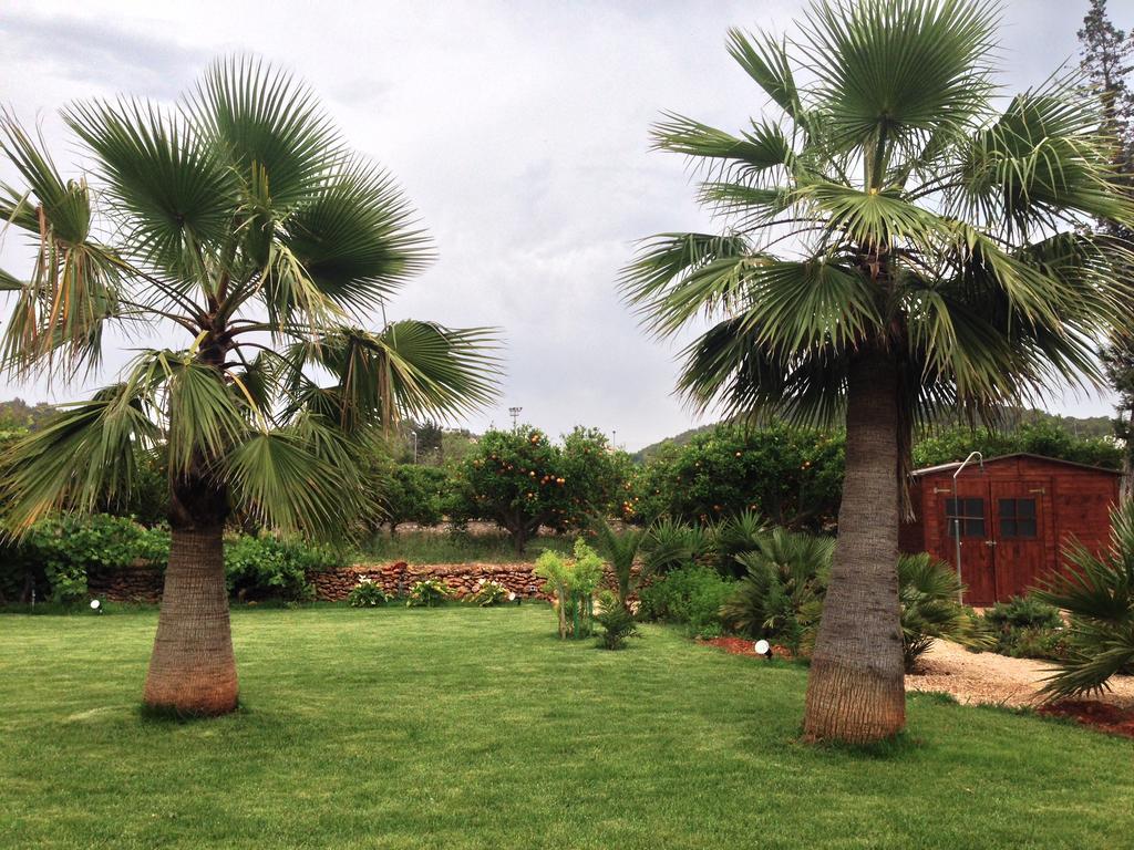 Can Gat Sant Carles de Peralta Rum bild