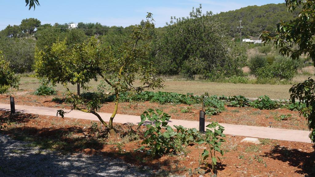 Can Gat Sant Carles de Peralta Rum bild